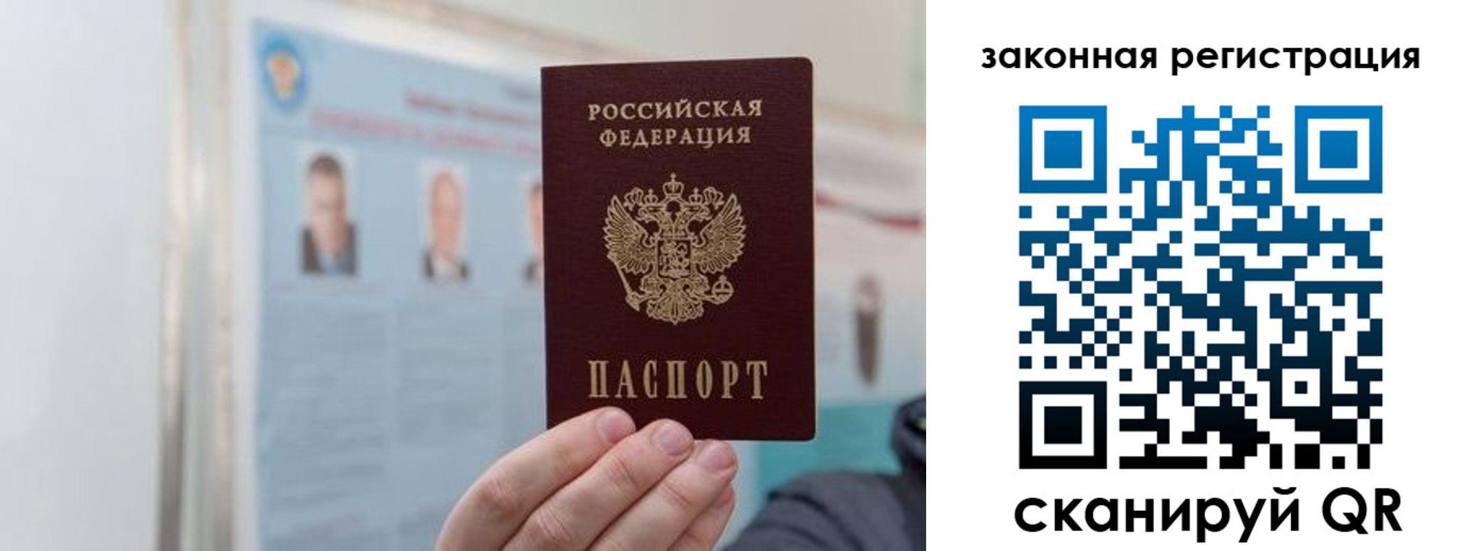 прописка законно в Камышлове